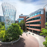 Fred Hutch campus