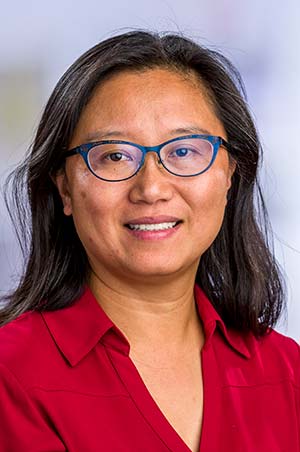 Dr. Li Hsu PhD