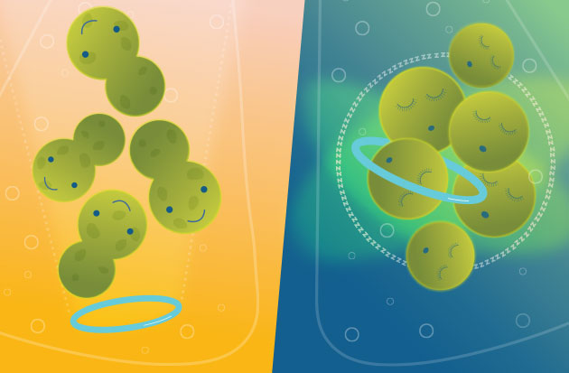 Chromatin and Quiescence